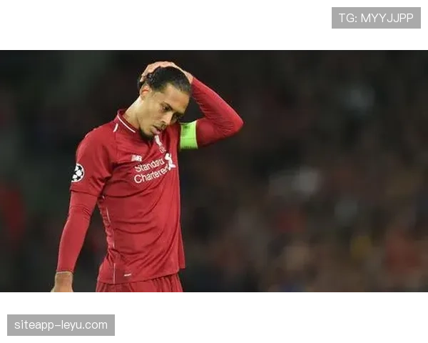 范戴克商业价值飙升，成足球市场新宠备受瞩目