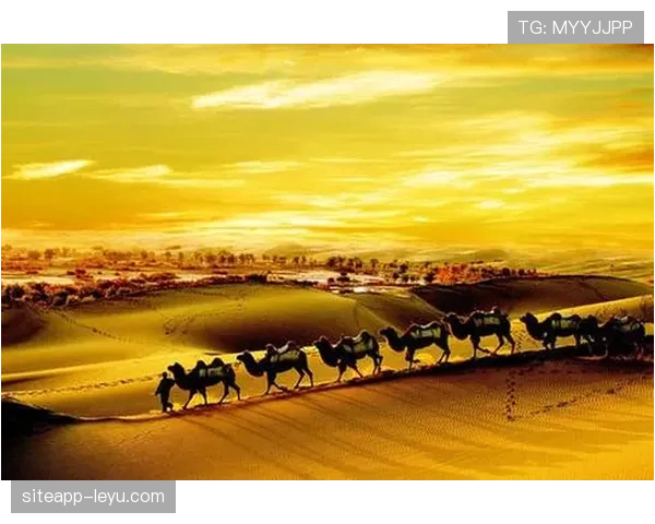 萨拉赫家乡启动新文化项目，推动地方经济与旅游发展