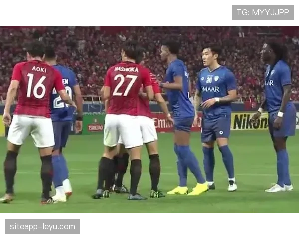 南美杯新冠军诞生,球队书写历史辉煌新篇章 南美杯新冠军诞生,球队书写历史辉煌新篇章