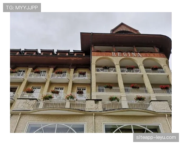 雷吉纳新秀闪耀赛场，阵容深度凸显球队未来可期