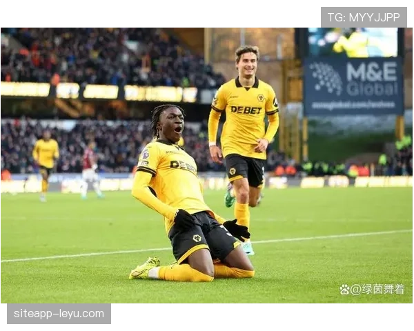 狼队传奇再现辉煌，球迷热盼新赛季再创佳绩