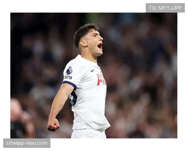 热刺错失新星引关注，转会市场再掀波澜