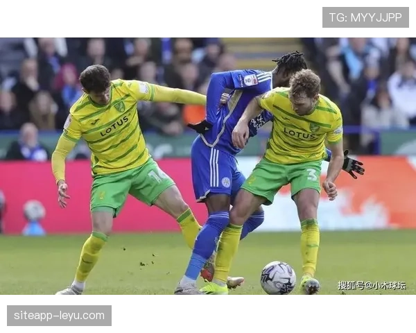 诺维奇城英冠开局低迷，亟需止颓反弹以摆脱降级泥潭