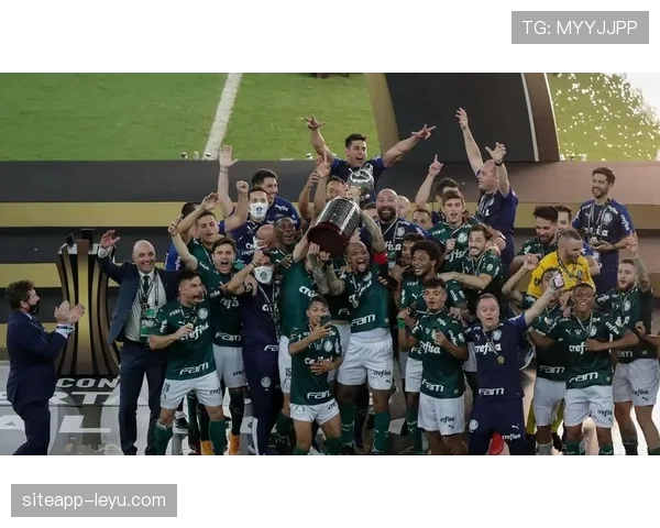 解放者杯冠军奖金上涨，激励球队追求荣誉与财务双丰收的趋势分析