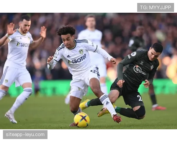 英超本土新星本赛季表现稳健,持续提升竞争力 英超本土新星本赛季表现稳健,持续提升竞争力