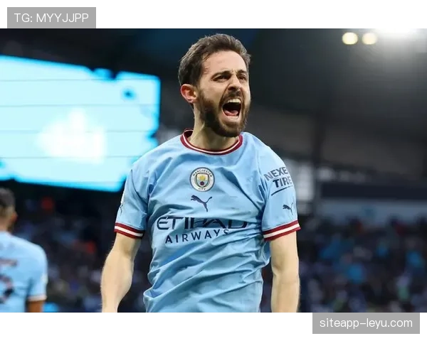 贝尔纳多欧冠冠军