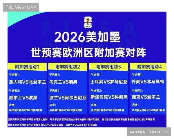 瑞典队2026世界杯预选赛突围前景分析：北欧海盗能否重返世界杯舞台